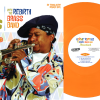 Mardi Gras Vinyl Bundle - Image 5